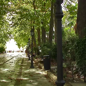  Apartamento Rual Centro